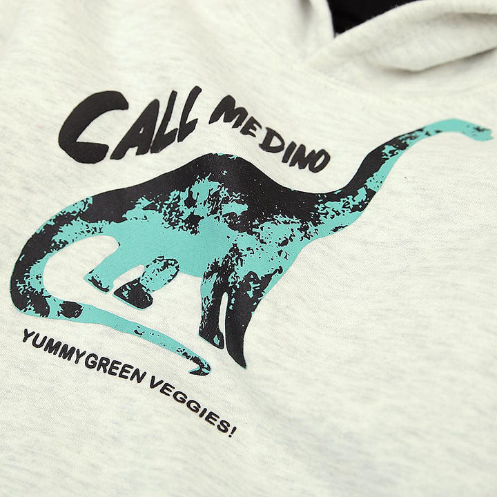 Kid's Premium Quality "CALL ME DINO" Graphic Printe Soft Fleece Hoodie (MD-00781) - Brands River